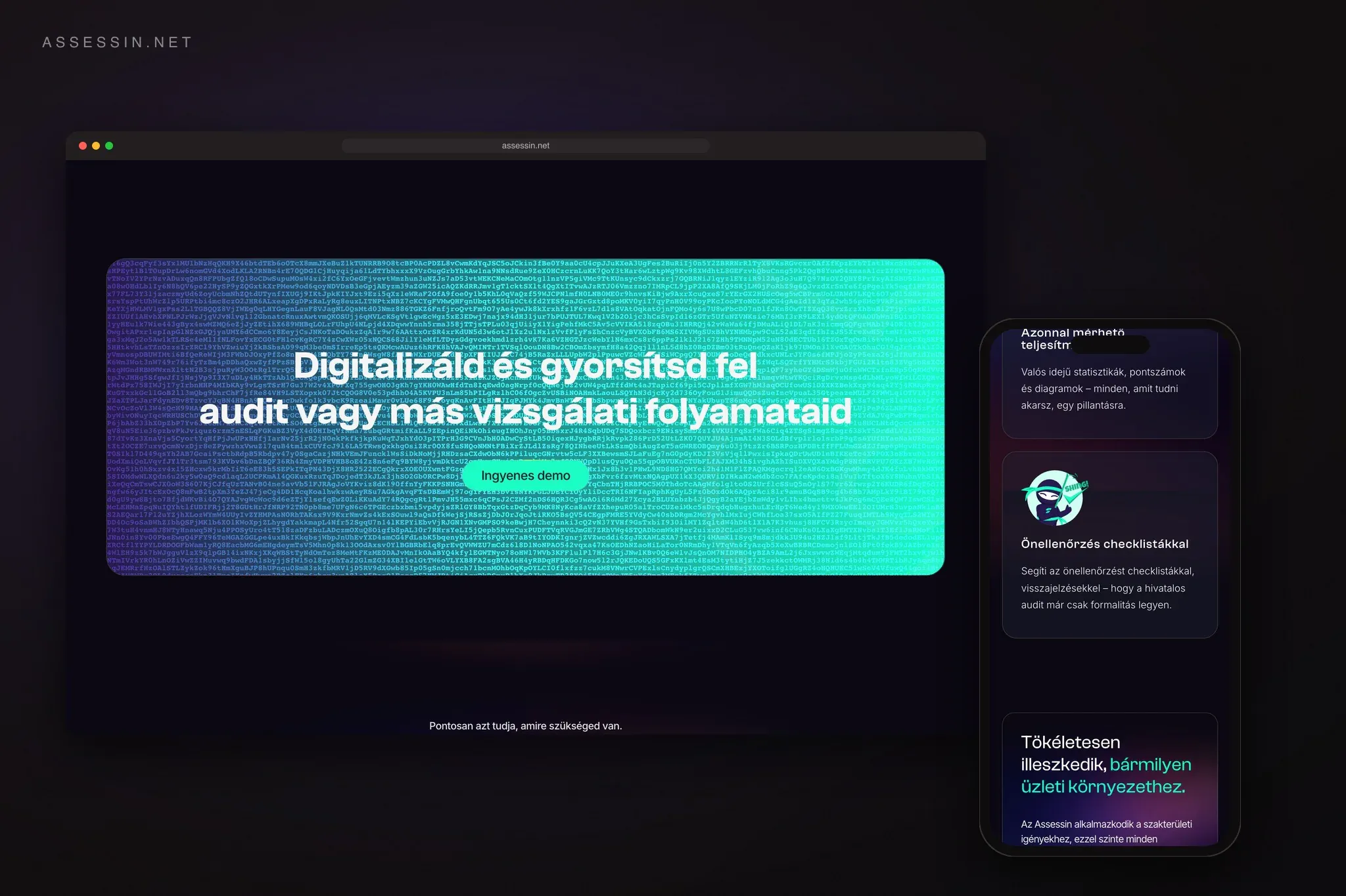 Assessin – képernyőkép 2
